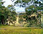 Australian Farm Stay Farm Tourism Holidays Accommodation Farm